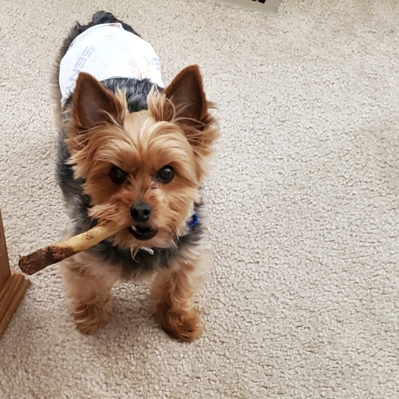 Meet your Posher, Mel - Picture 5 of 8